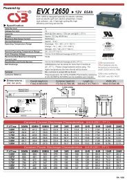 CSB EVX12650 Manual - Fusion Power System