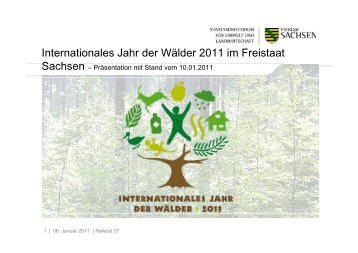 Download,*.pdf, 0,41 MB - Wald, Forstwirtschaft, Jagd - Freistaat ...