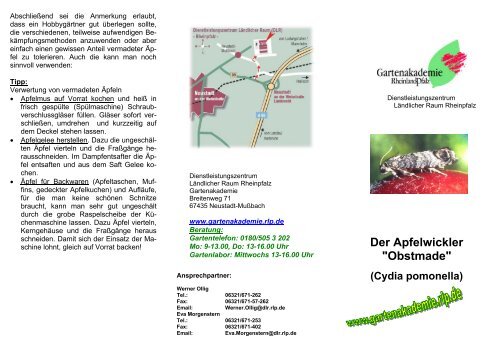 1) Neue Infoblätter Apfelwickler.pdf - Gartenakademie
