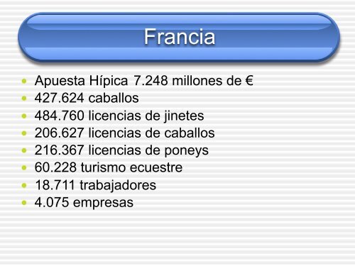 El impacto económico del Sector Ecuestre en España: Una primera ...