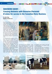 RIEDBOW DAIRY - Crossing Holsteins with Bavarian Fleckvieh A ...