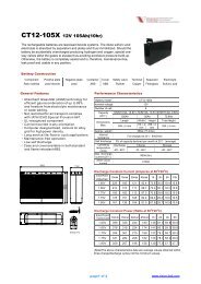 VISION CT12-105X Manual - Fusion Power System