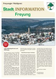 21. Ausgabe - Januar/Februar 2011 - Stadt Freyung