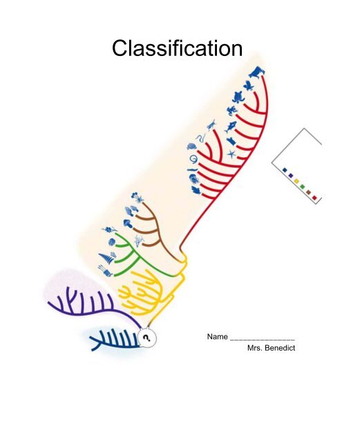 Section 18 2 modern evolutionary classification worksheet answers