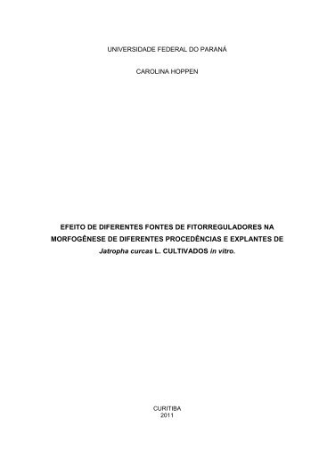 Dissertação em PDF - departamento de engenharia florestal - ufpr ...