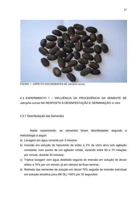 Dissertação em PDF - departamento de engenharia florestal - ufpr ...