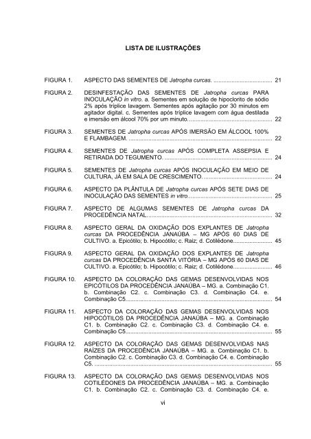 Dissertação em PDF - departamento de engenharia florestal - ufpr ...