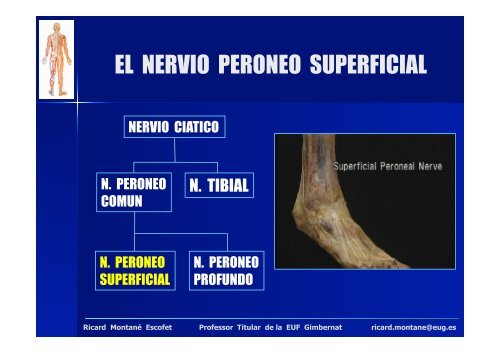 jornada col1