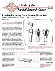 Pineland Mystery Bone is from Monk Seal - Florida Museum of ...