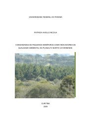 Tese em PDF - departamento de engenharia florestal - ufpr ...