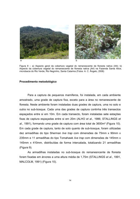 Tese em PDF - departamento de engenharia florestal - ufpr ...