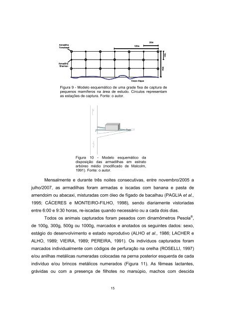 Tese em PDF - departamento de engenharia florestal - ufpr ...