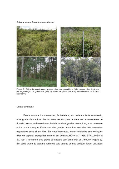 Tese em PDF - departamento de engenharia florestal - ufpr ...