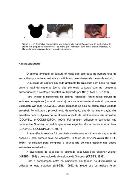 Tese em PDF - departamento de engenharia florestal - ufpr ...