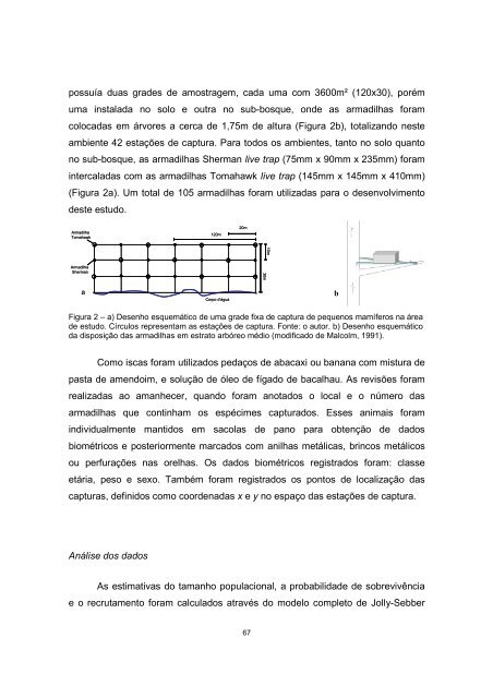 Tese em PDF - departamento de engenharia florestal - ufpr ...