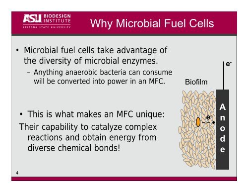 Microbial Fuel Cells (MFCs): - AZ Water Association