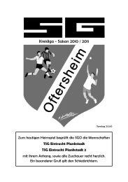 Kreisliga - Saison 2010 / 2011