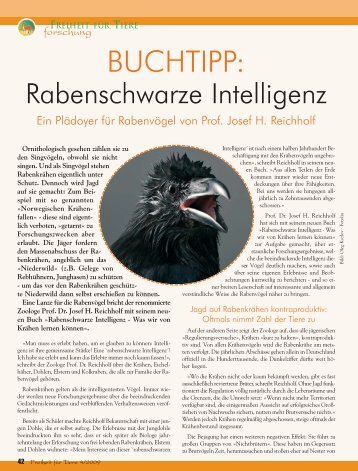 Rabenschwarze Intelligenz - Magazin Freiheit für Tiere