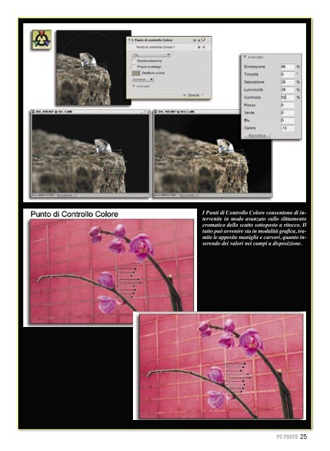 Nikon Capture NX2: il concentrato digitale - Fotografia.it