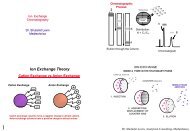 Ion Exchange Theory