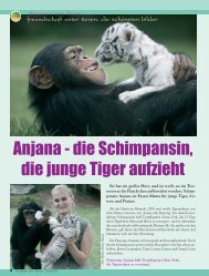 Tiernachrichten - Magazin Freiheit für Tiere