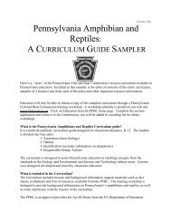 Pennsylvania Amphibian And Reptiles : A Curriculum Guide Sampler