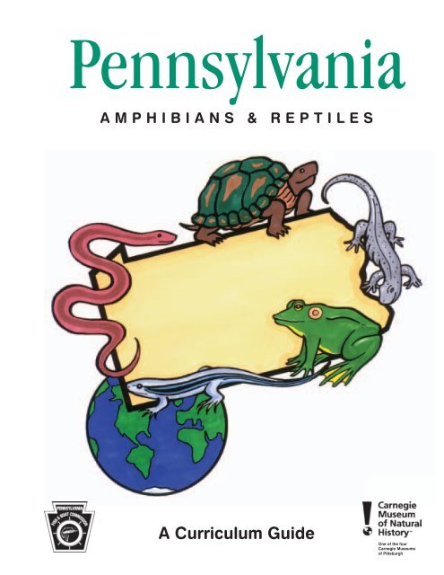 Pennsylvania Amphibian And Reptiles : A Curriculum Guide Sampler