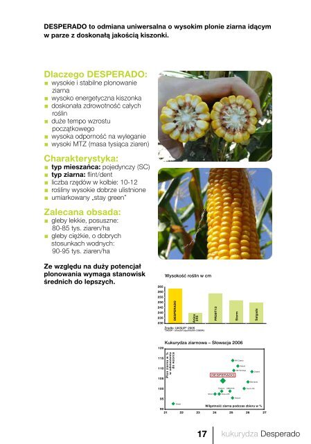 katalog odmian kukurydzy 2013 - FiN Agro Polska