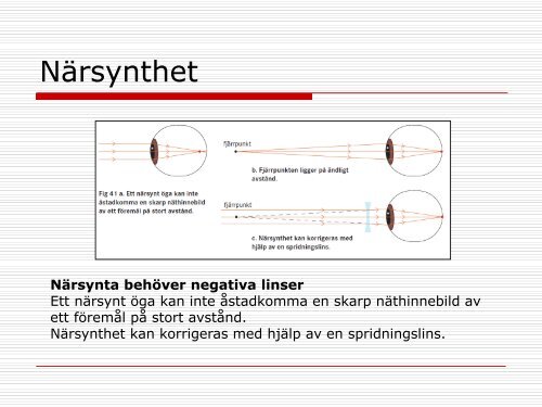 Föreläsning 11