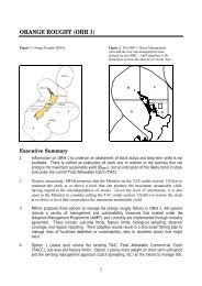 ORANGE ROUGHY (ORH 1)