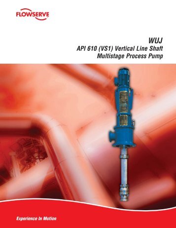 API 610 (VS1) Vertical Line Shaft Multistage Process ... - Flowserve