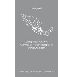 Versión pdf - Foro Consultivo Científico y Tecnológico
