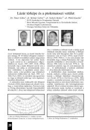 dr. Molnár G.–dr. Székely B. - Földmérési és Távérzékelési Intézet