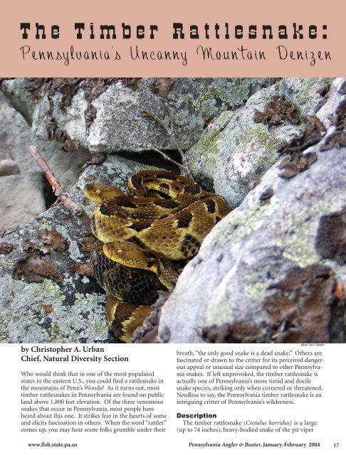 The Timber Rattlesnake - Pennsylvania Fish and Boat Commission