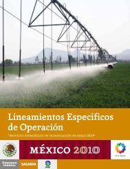 Lineamientos Tecnificación - Firco