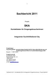 Sachbericht 2011 SKA