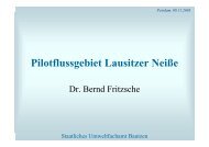 Pilotflussgebiet Lausitzer Neiße (Bernd Fritzsche, Staatliches ...