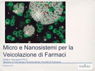 Micro e Nanosistemi per la Veicolazione di Farmaci - Fisica