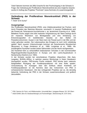 Verbreitung der Proliferativen Nierenkrankheit (PKD) in ... - Fischnetz