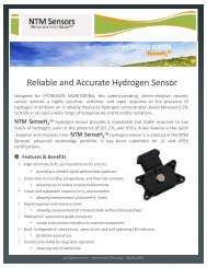 Reliable and Accurate Hydrogen Sensor - NexTech Materials