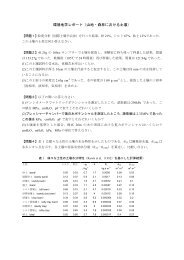 レポート（pdf）