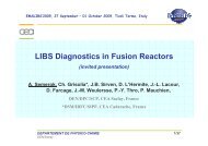 LIBS Diagnostics in Fusion Reactors - C.R. ENEA Frascati - Enea