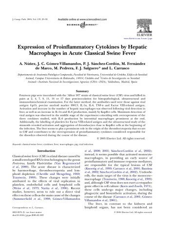 Expression of Proinflammatory Cytokines by Hepatic - Facultad de ...