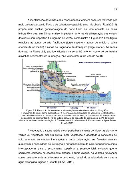 Dissertação em PDF - departamento de engenharia florestal - ufpr ...