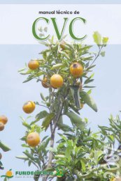 manual de CVC.pmd - Fundecitrus