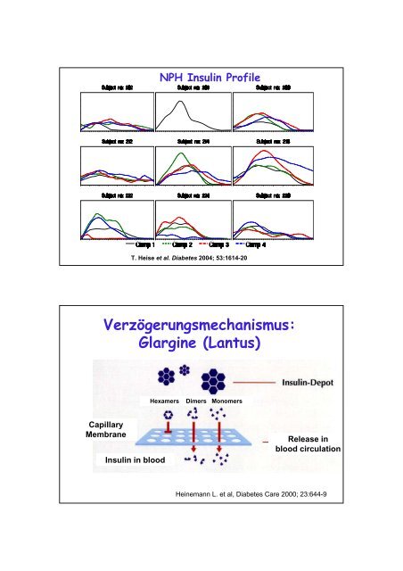 Diabetes mellitus Typ 1 - Fortbildung