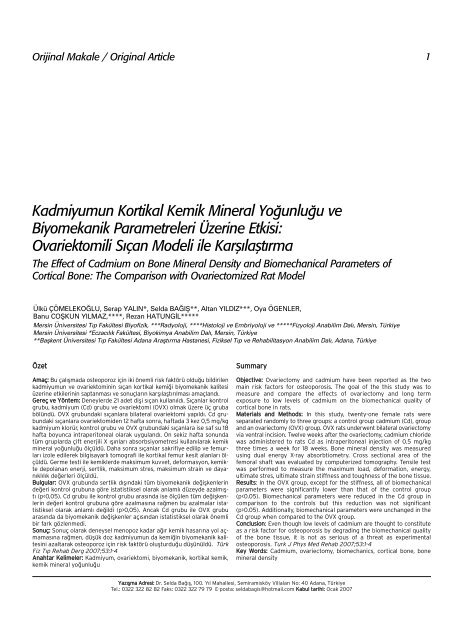 Kadmiyumun Kortikal Kemik Mineral Yo¤unlu¤u ve ... - FTR Dergisi