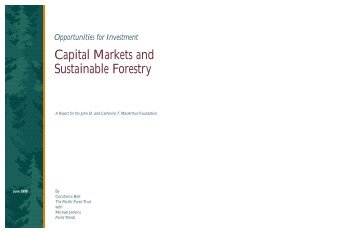 Capital Markets and Sustainable Forestry - Forest Trends