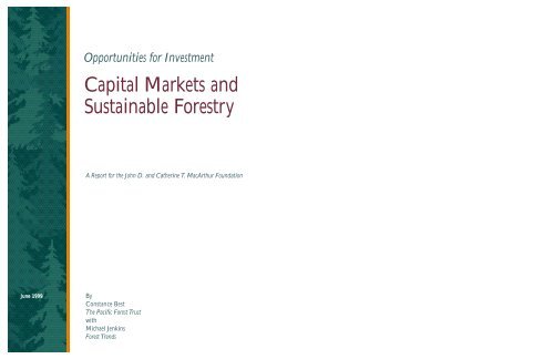 Capital Markets and Sustainable Forestry - Forest Trends