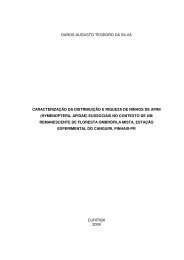 daros augusto teodoro da silva caracterização da distribuição e ...